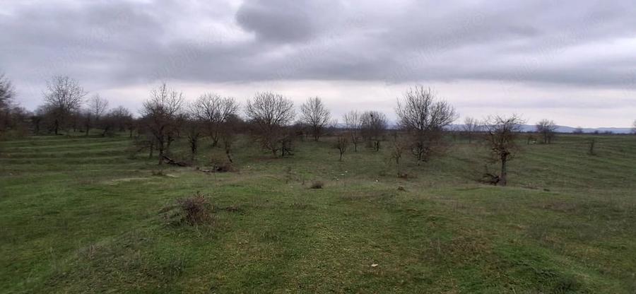 Teren de 3700 mp, în Central