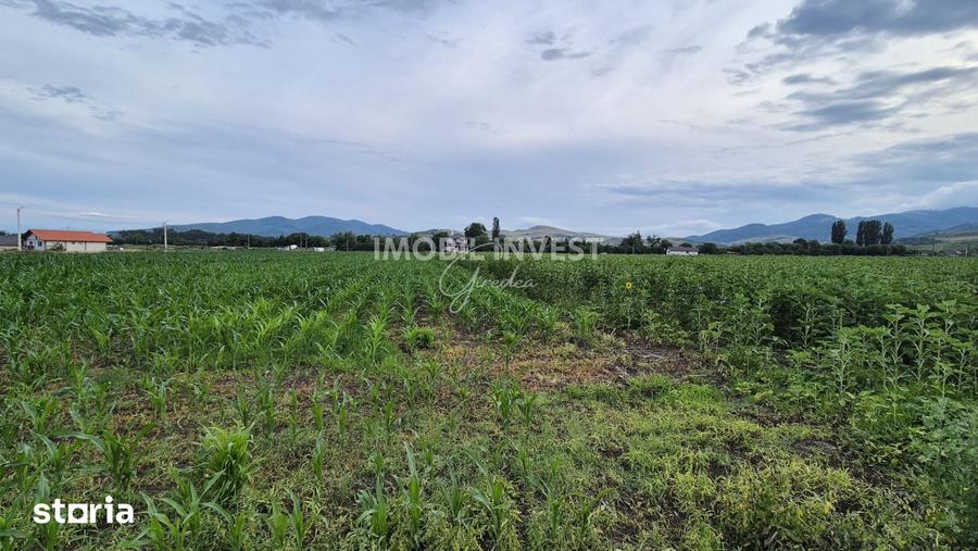 Teren de 1500 mp, în Ighiu