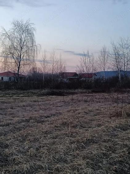 Teren de 10000 mp, în Merișor
