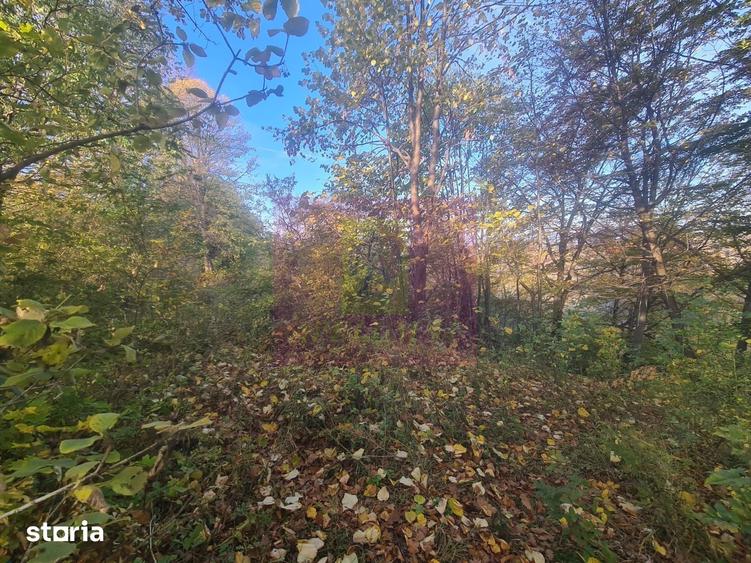 Teren de 3092 mp, în Scorțeni