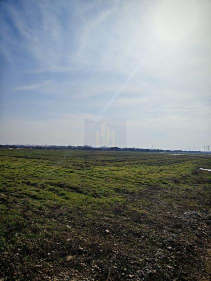 Teren Construcții intravilan de 12831 mp, în Căciulați