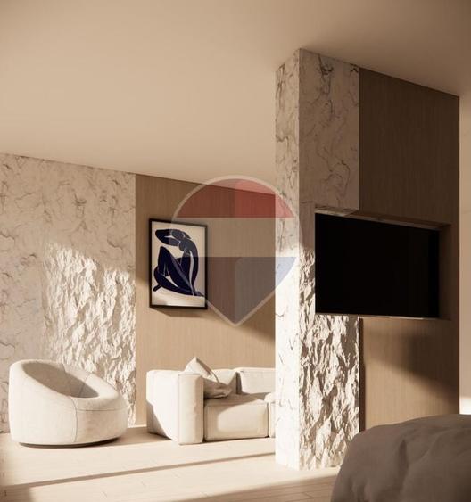 Vanzare  STUDIO-DEZVOLTATOR - 2