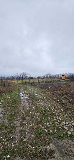 Teren de 656 mp, în Tomești