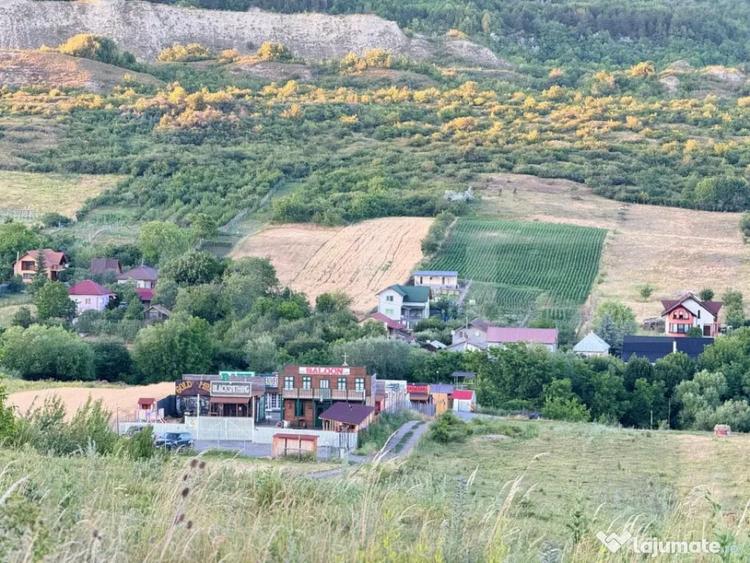Teren extravilan in zona Dealul Fanatelor-Clyde Town - 1
