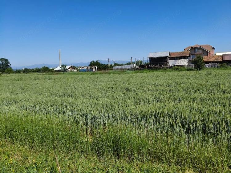 Teren de 10294 mp, în Sud