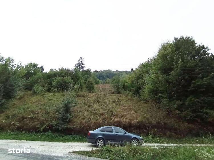 Teren de 32000 mp, în Rusca