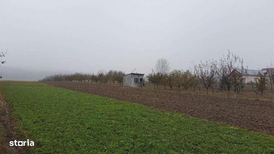 Casă cu 4 camere în Lipoveni