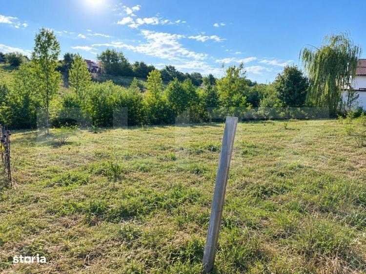 Teren intravilan de 1113 mp cu deschidere de 30 m Moara - 1