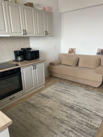 Apartament cu 2 camere în Paltin