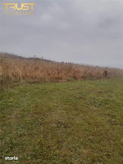 Teren de 2900 mp, în Baciu