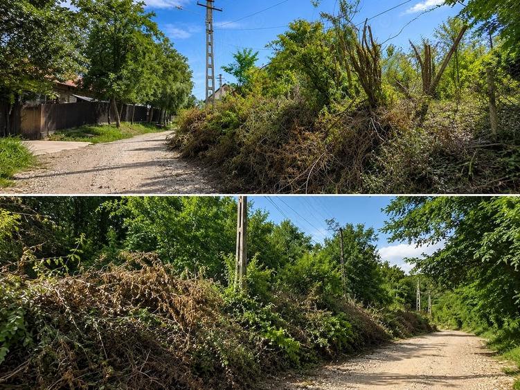 Teren intravilan 3.465 mp | Mo?oaia Hintesti | Deschidere la drum | Ideal pentru locuin?a sau inve - 2