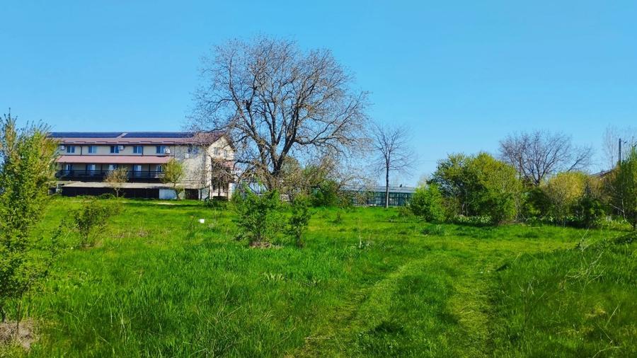 Teren Construcții intravilan de 10000 mp, în Grădiștea