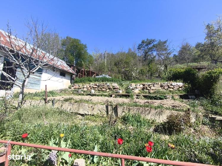Casă cu 3 camere cu Teren 300 Mp în Muncitoresc