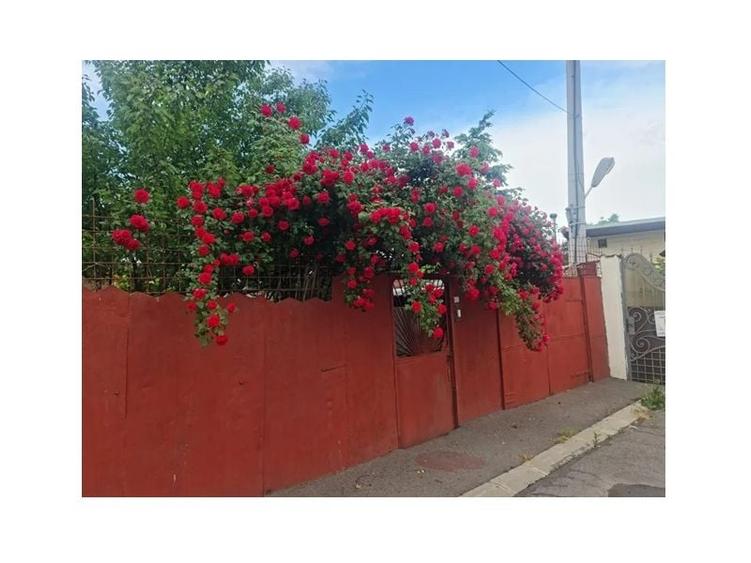 Casă cu 2 camere cu Teren 255 Mp în Piața Centrală