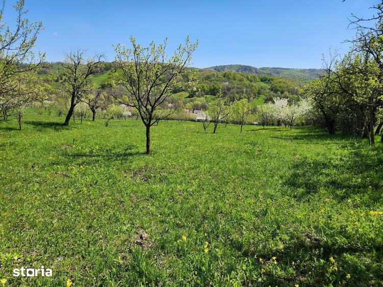 Teren de 16000 mp, în Posești