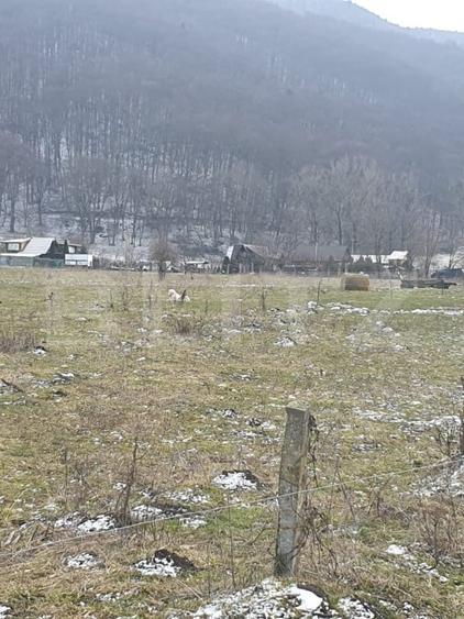 Teren intravilan de 5200 mp, în Vest