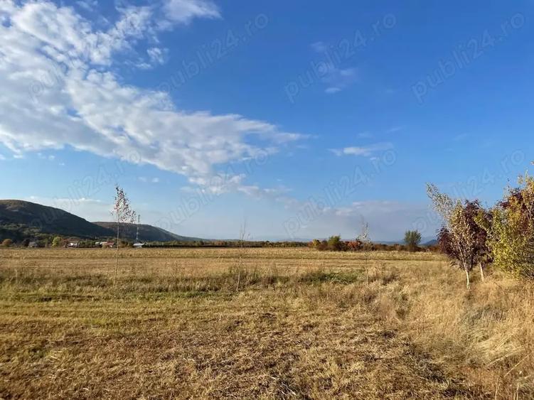 Teren de 3000 mp, în Măgureni