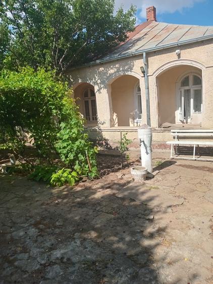 Spațiu comercial, în Amara