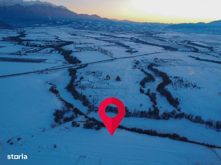 Teren de 5000 mp, în Pănicel