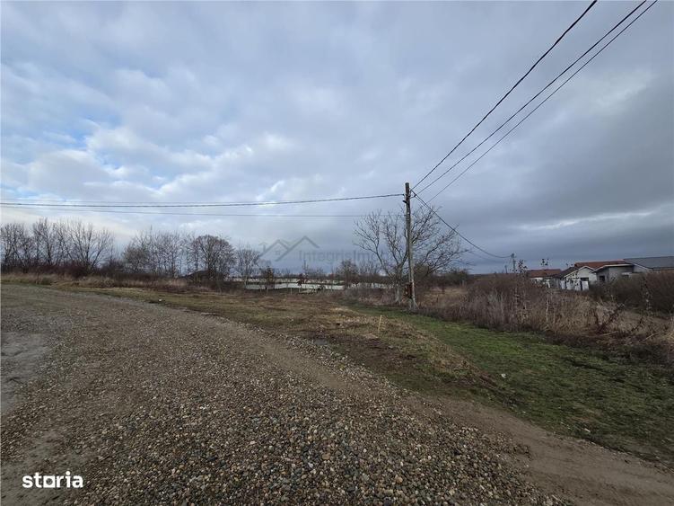 Teren intravilan,dublu front,Paleu,Oradea,Bihor - 2