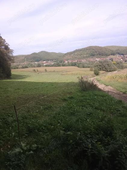 Teren de 5600 mp, în Nord