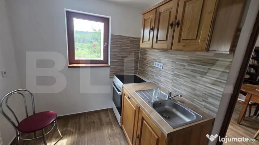 Casă cu 5 camere cu Teren 300 Mp în Grebenișu de Câmpie