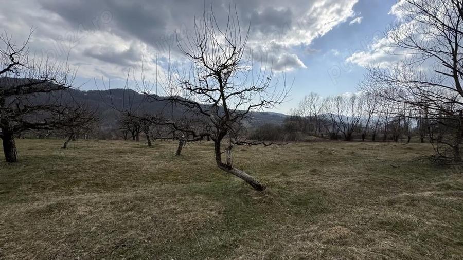 Teren în Micloșanii Mici