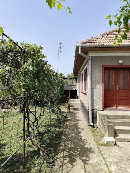Casă cu 3 camere cu Teren 1600 Mp în Bacea