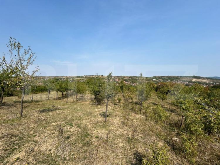 Teren de 5800 mp, în Central