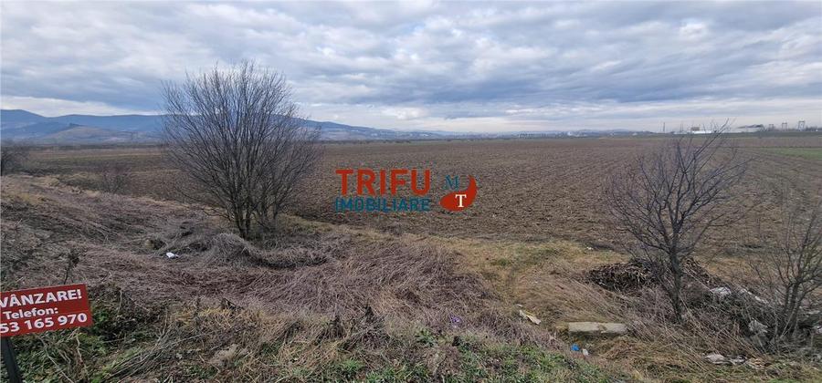 Teren Construcții intravilan de 1600 mp, în Ampoi 1