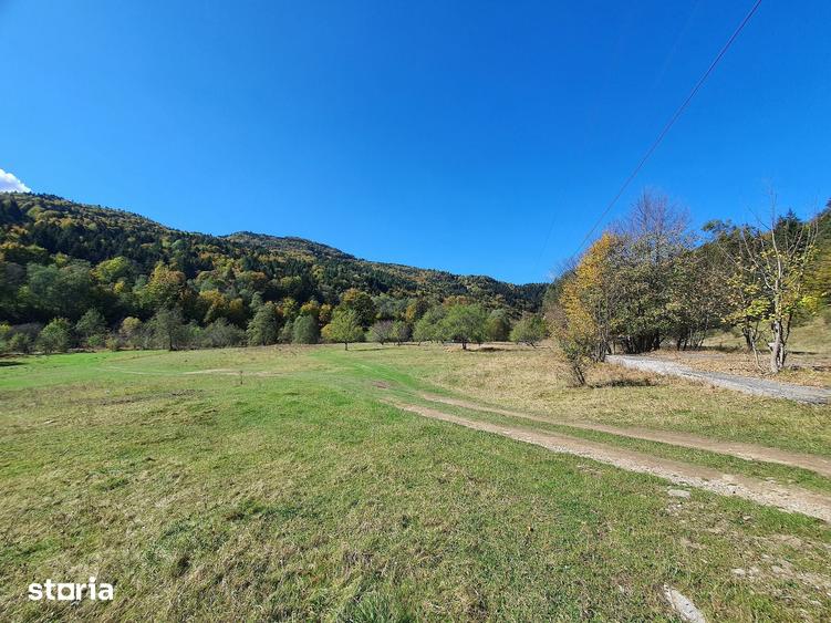 Teren de 18800 mp, în Brădet