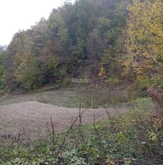 Vand teren pentru cabana
