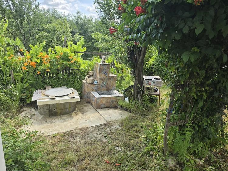 Casă cu 2 camere cu Teren 2896 Mp în Valea Brazilor
