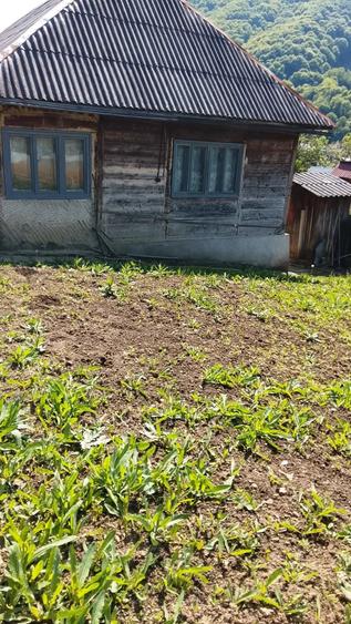 Casă cu 3 camere cu Teren 900 Mp în Telciu