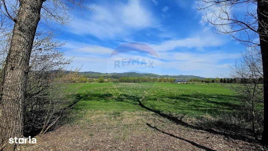 Teren de 10000 mp, în Vânători-Neamț