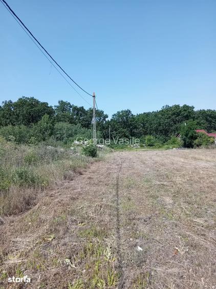 Teren Grigorescu / strada Apateului (de inchiriat / inchiriat)