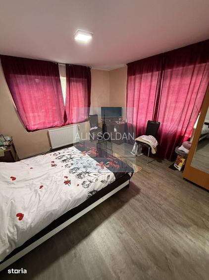 Casa/vila P+E+M, individuala ,730 mp teren-Timisul de jos
