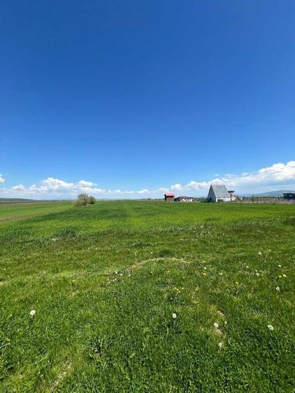 Teren de 13400 mp, în Ilieni