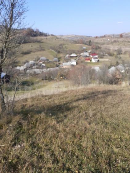 Teren Construcții intravilan de 2000 mp, în Poienile Izei