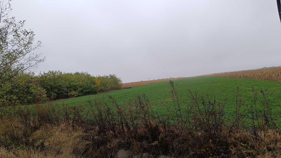 Teren de 6200 mp, în Luizi-Călugăra