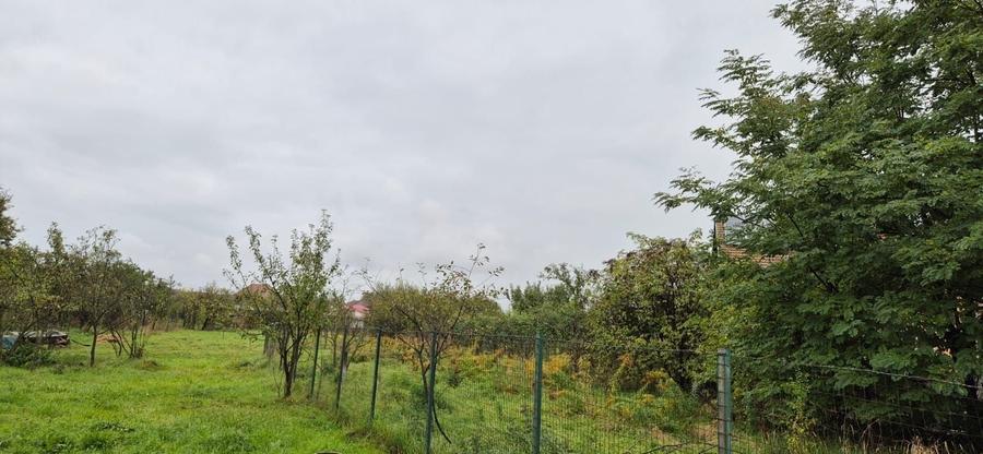 Teren Construcții intravilan de 500 mp, în Tirimioara