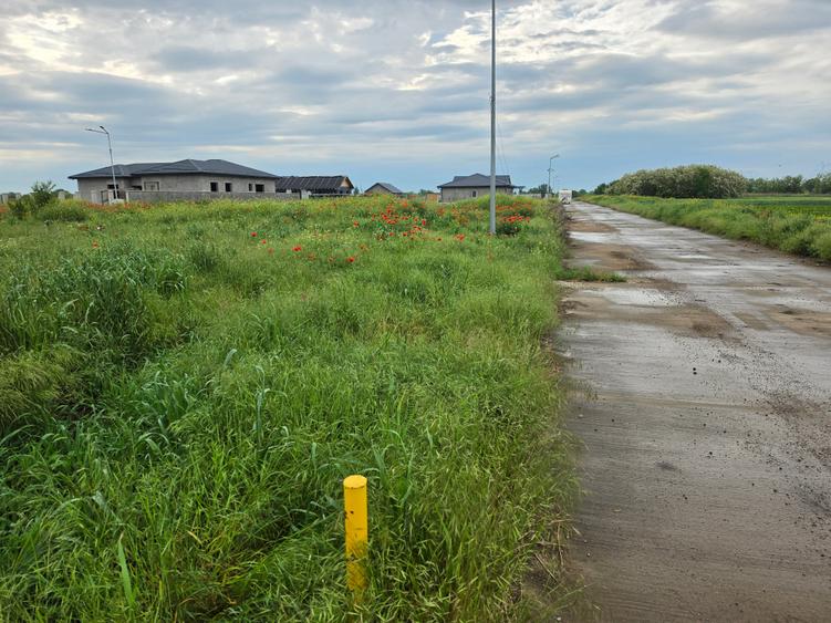 Teren Construcții intravilan de 529 mp, în Frumușani
