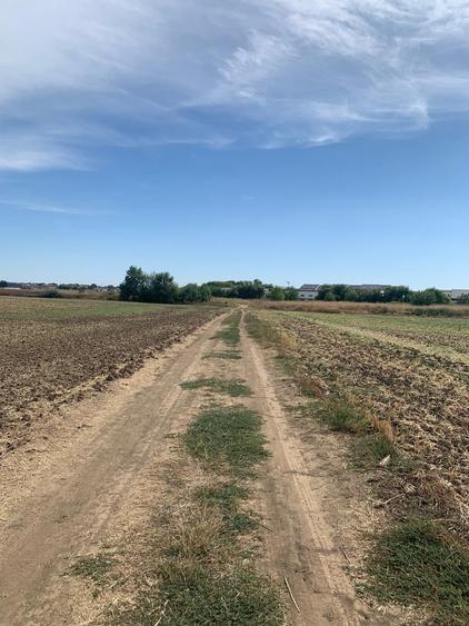Teren agricol intravilan de 4000 mp, în Dimieni