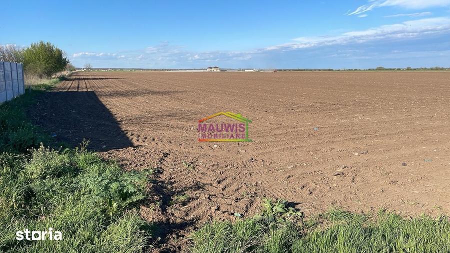 Teren de 18000 mp, în Dascălu