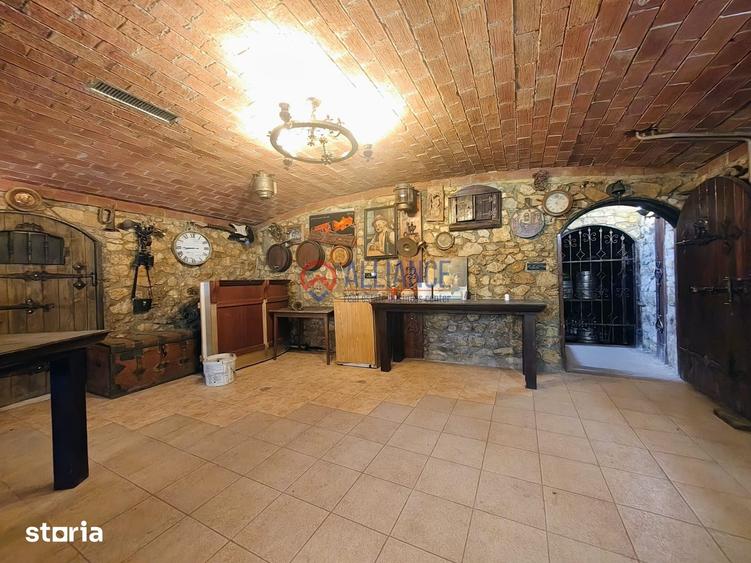 Spațiu comercial, de 520 mp, în Vest