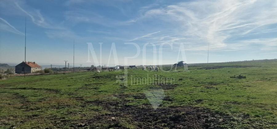 Teren agricol extravilan de 493170 mp, în Iris