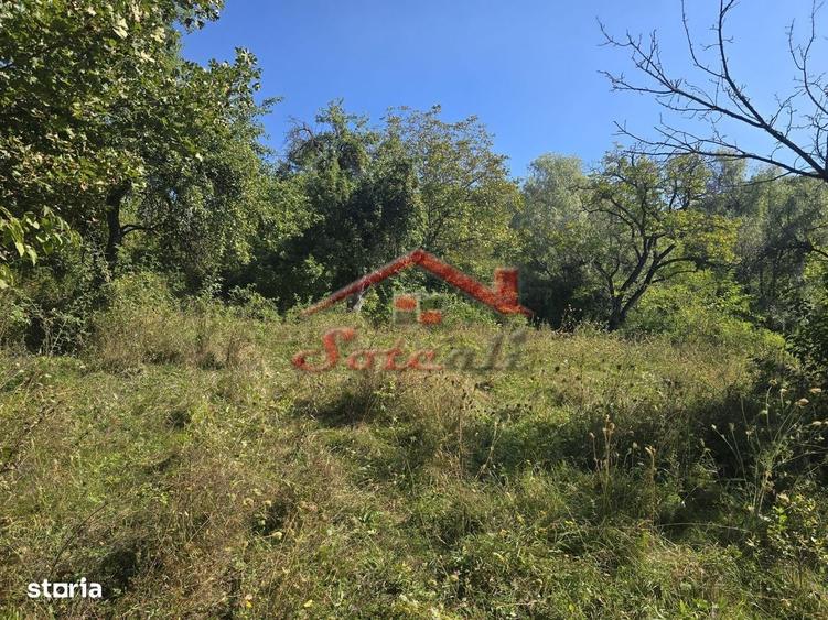 Teren intravilan de vanzare Cornu - 1