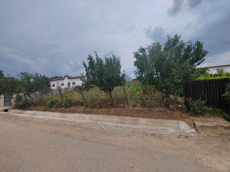Teren Construcții intravilan de 800 mp, în Valea Călugărească