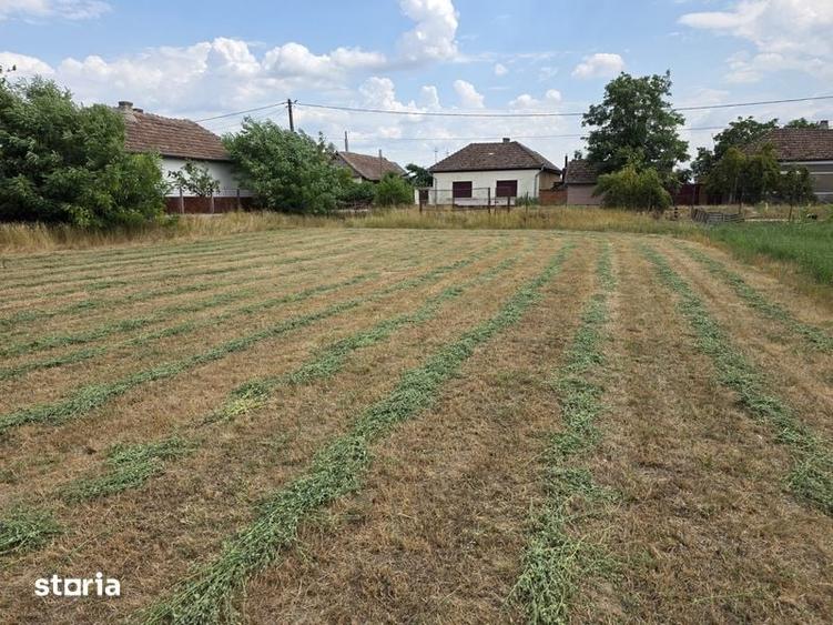 Teren de 2440 mp, în Sânnicolau Român