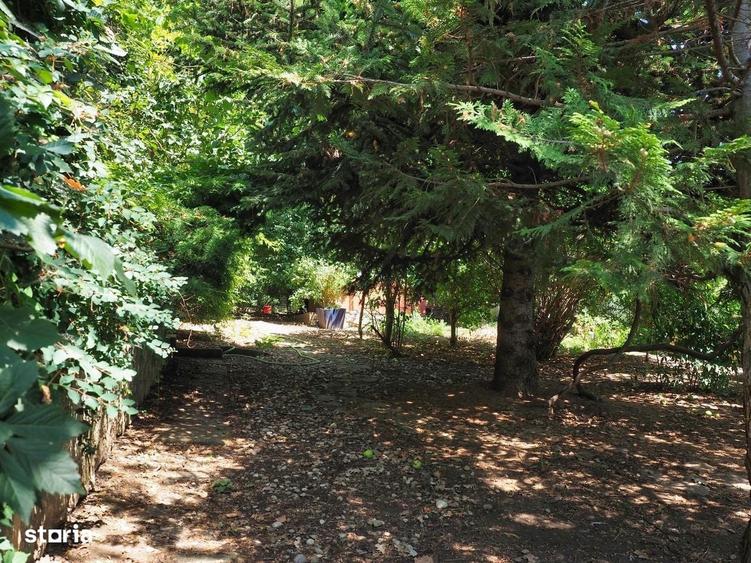 Casă cu 4 camere cu Teren 1798 Mp în Izvorani